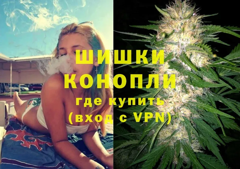 Бошки Шишки SATIVA & INDICA  что такое наркотик  Сертолово 